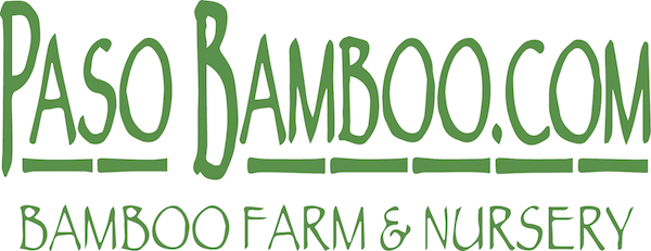 Paso Bamboo